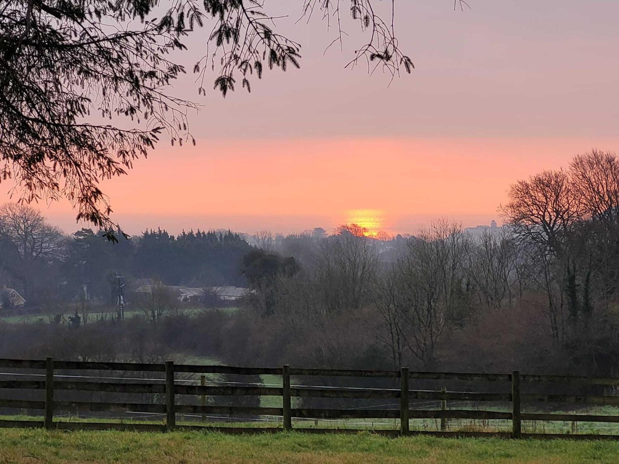 Evening Star